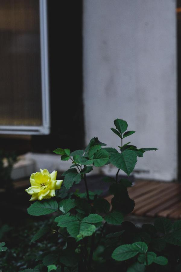 Viva La Vida - Jongno Hanok Private House Σεούλ Εξωτερικό φωτογραφία